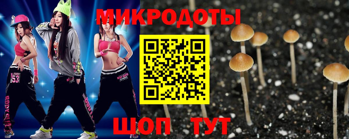 Знаменск  Галлюциногенные грибы GOLDEN TEACHER  Вход с VPN  Галлюциногенные грибы Psilocybine cubensis 