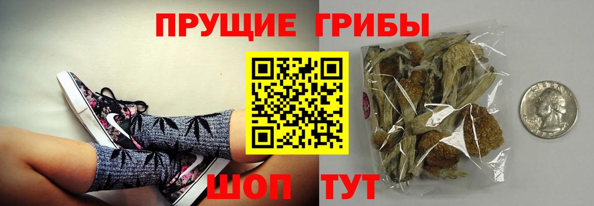 Галлюциногенные грибы мицелий Знаменск
